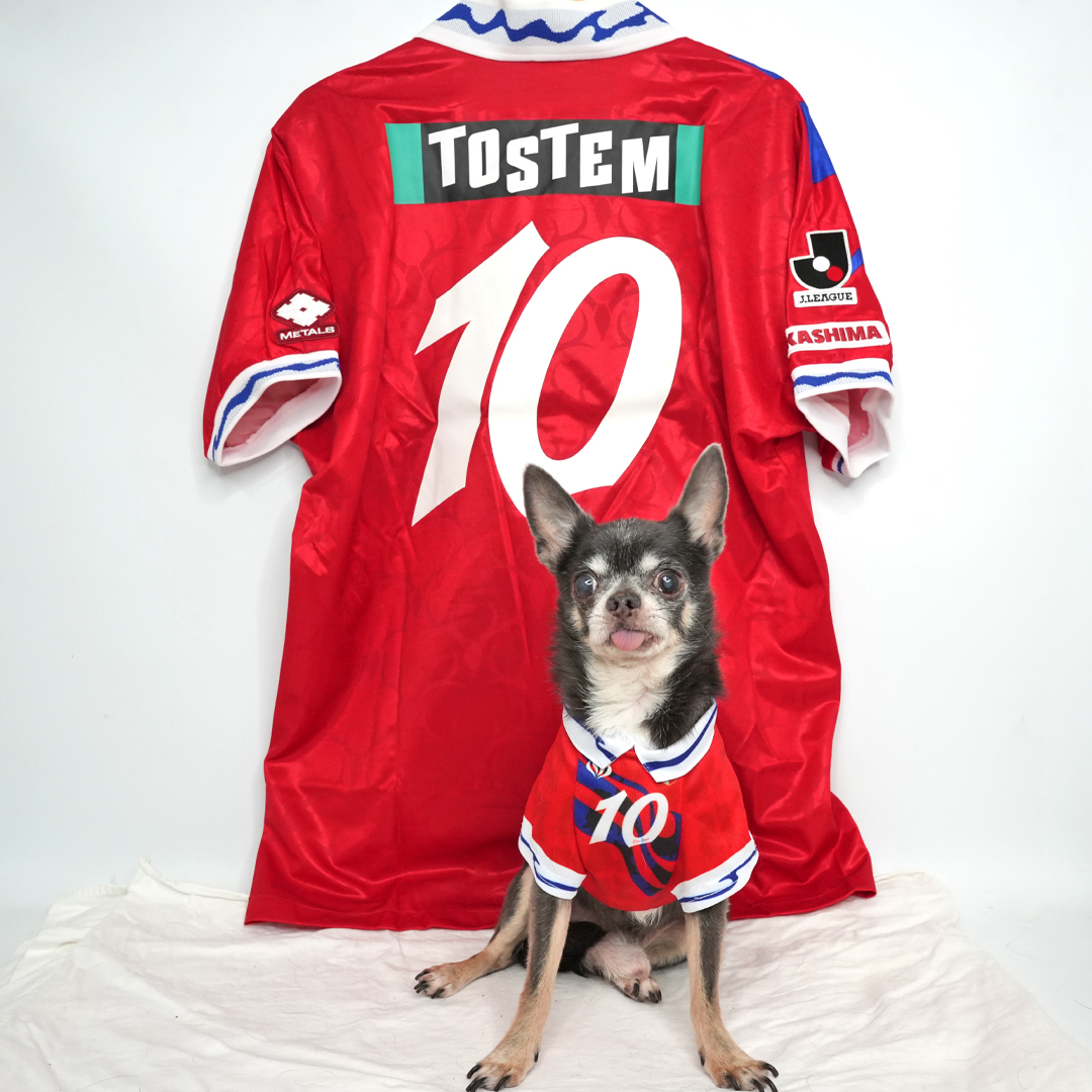 ジーコ / レオナルド