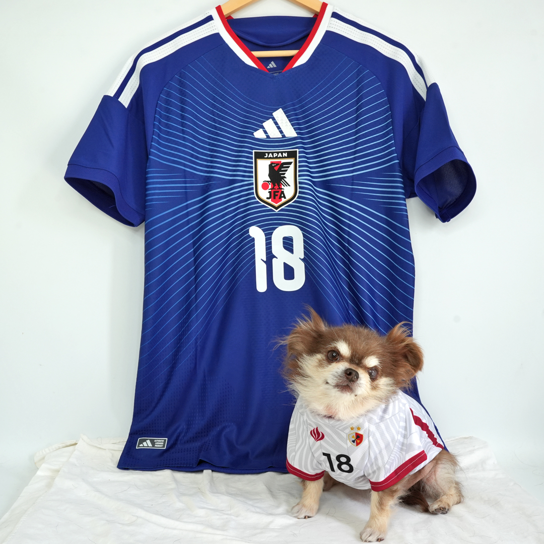 上田綺世