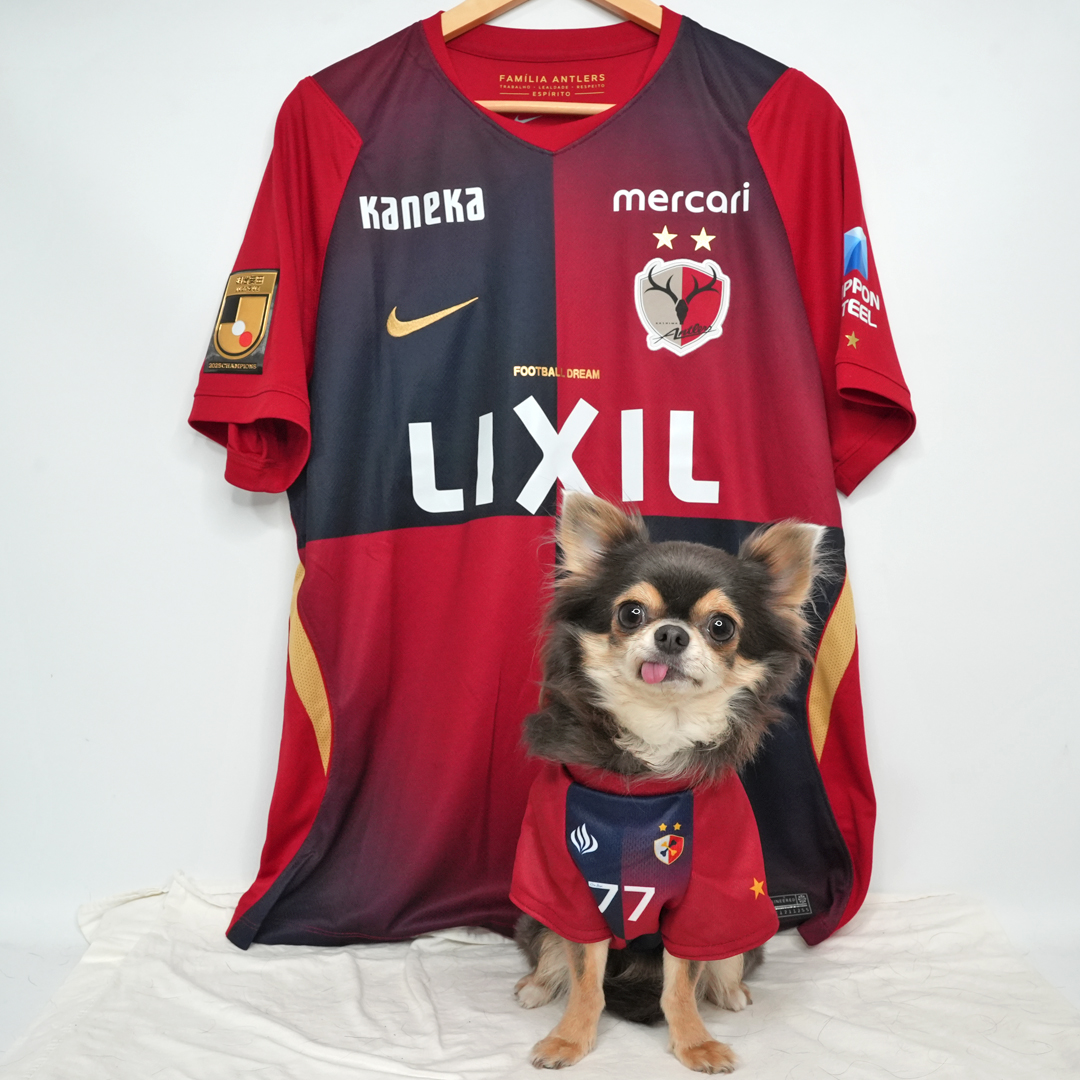 チャヴリッチ
