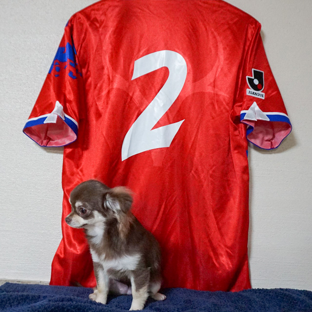 ジョルジーニョ