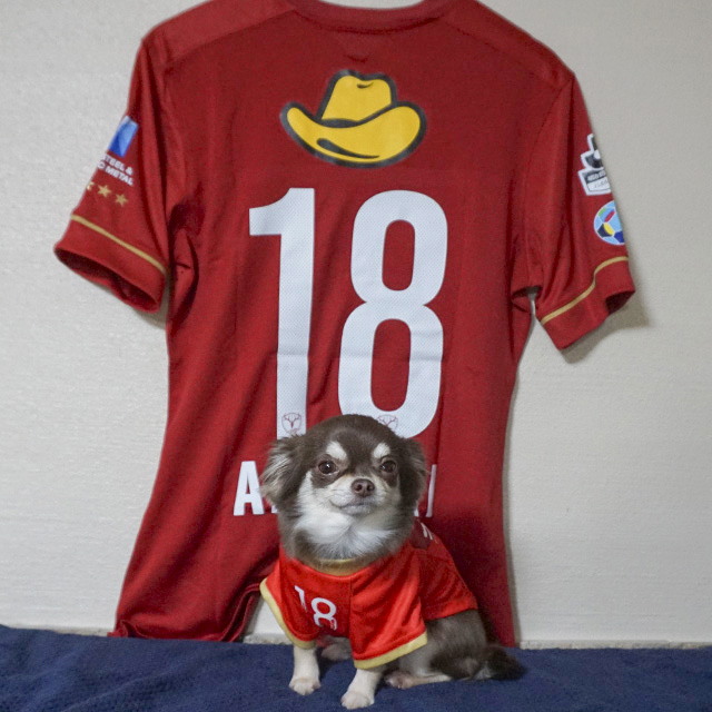 赤﨑秀平