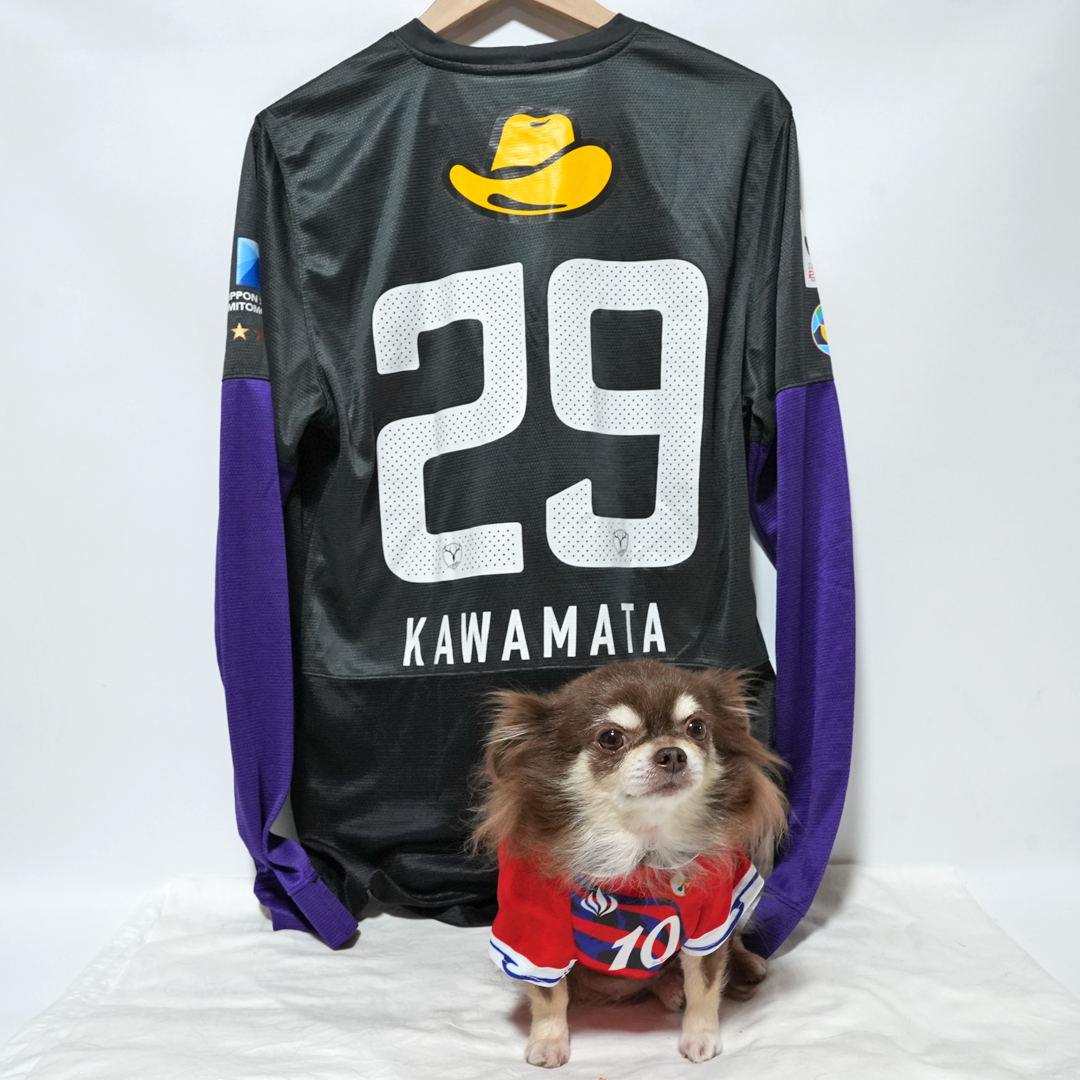 川俣慎一郎