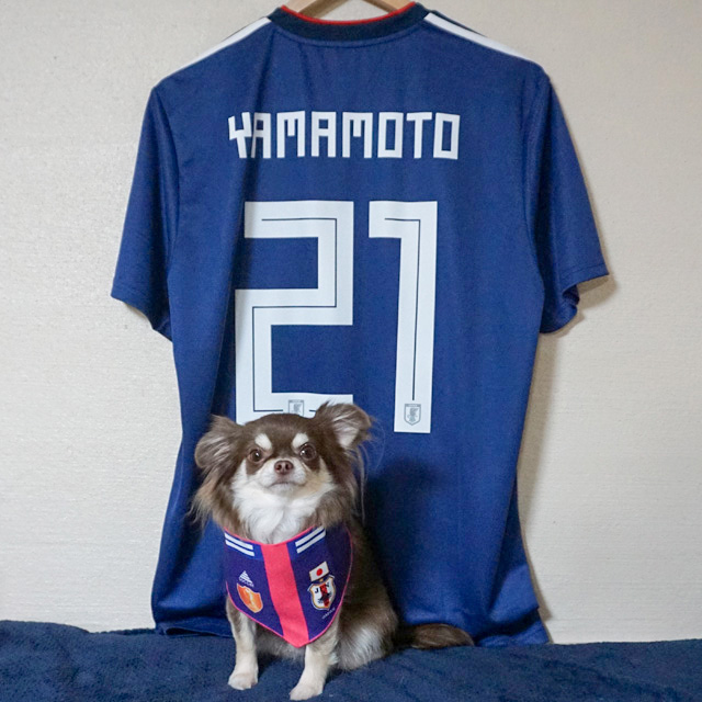 山本脩斗