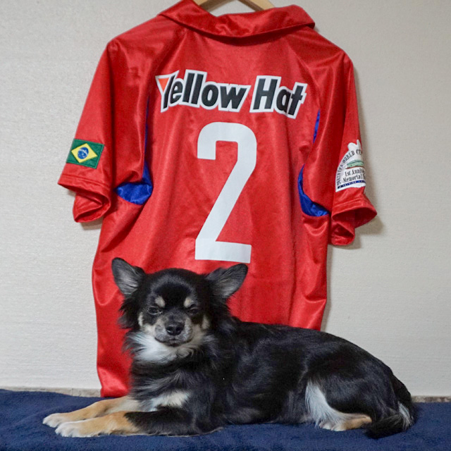 ジョルジーニョ