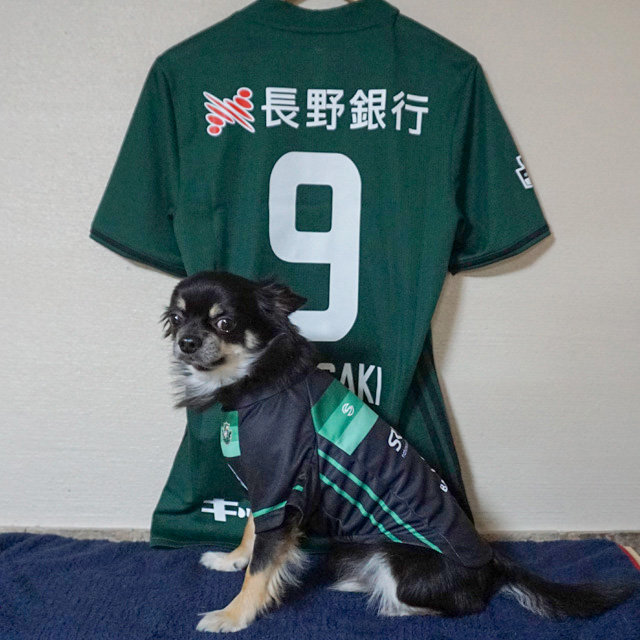 高崎寛之