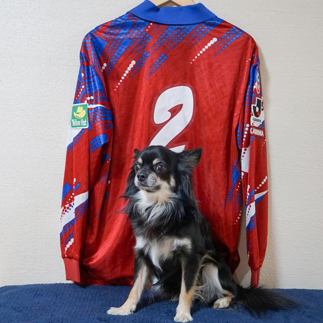 ジョルジーニョ