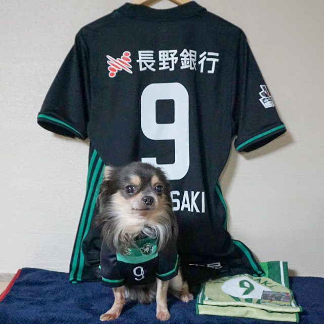 高崎寛之