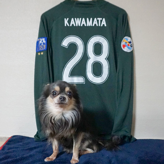 川俣慎一郎