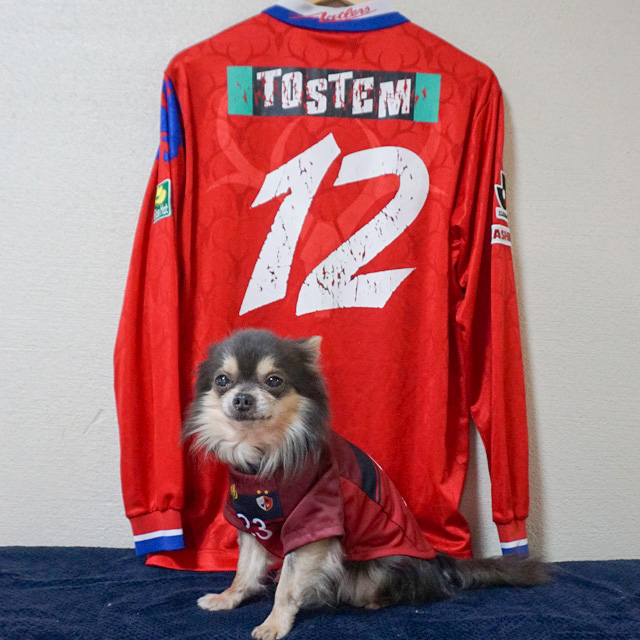 賀谷英司 / 内藤就行