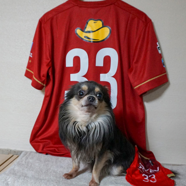 金崎夢生