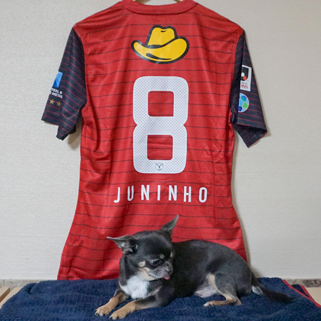 ジュニーニョ