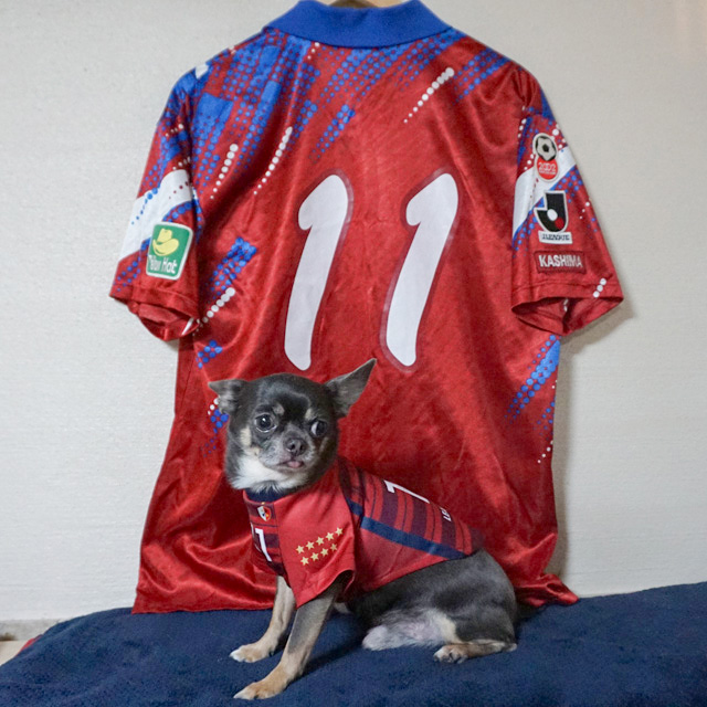 長谷川祥之 / 柳沢敦