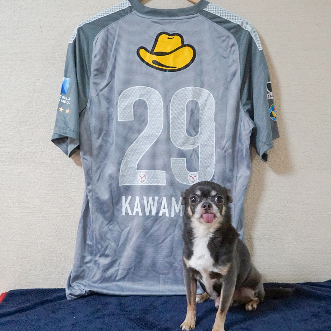 川俣慎一郎