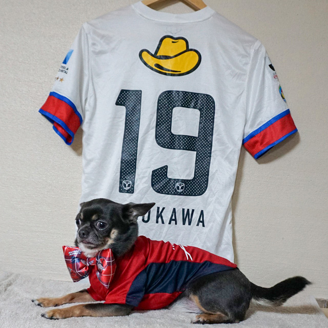 豊川雄太