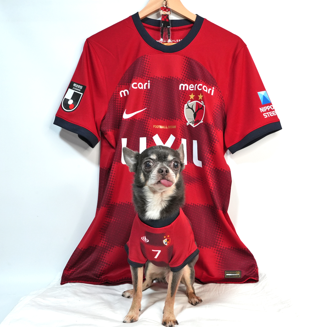 チャヴリッチ