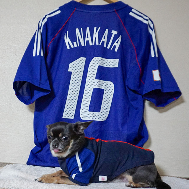 中田浩二