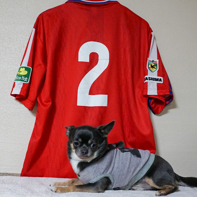 ジョルジーニョ