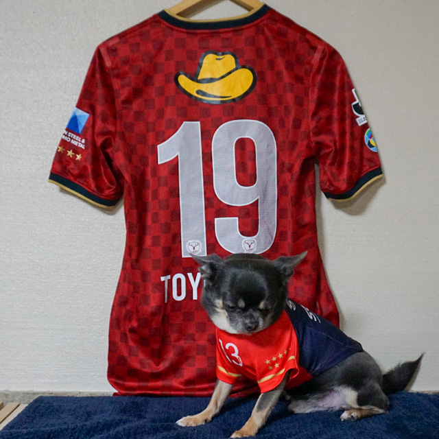 豊川雄太