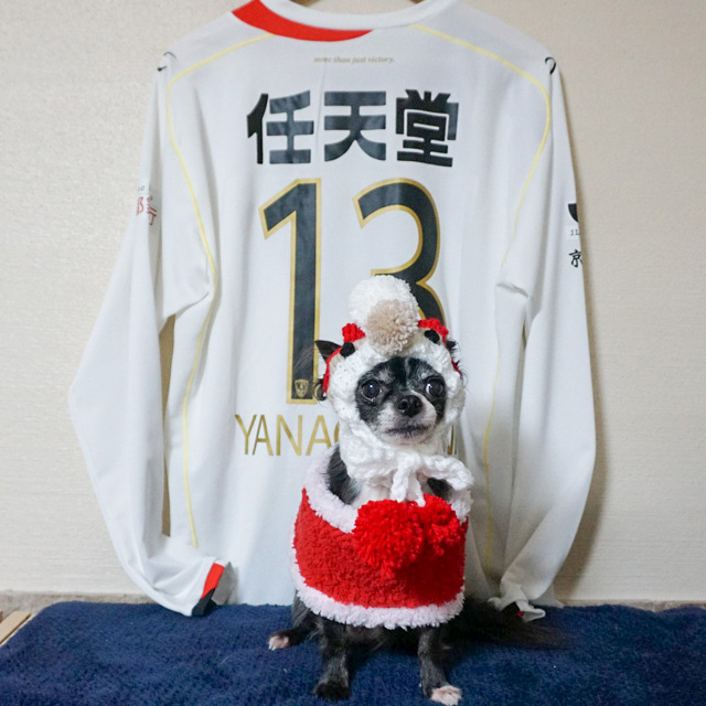柳沢敦
