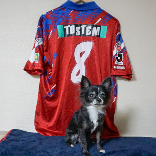 マジーニョ / 増田忠俊