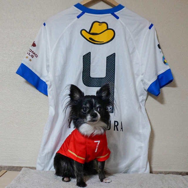 山村和也