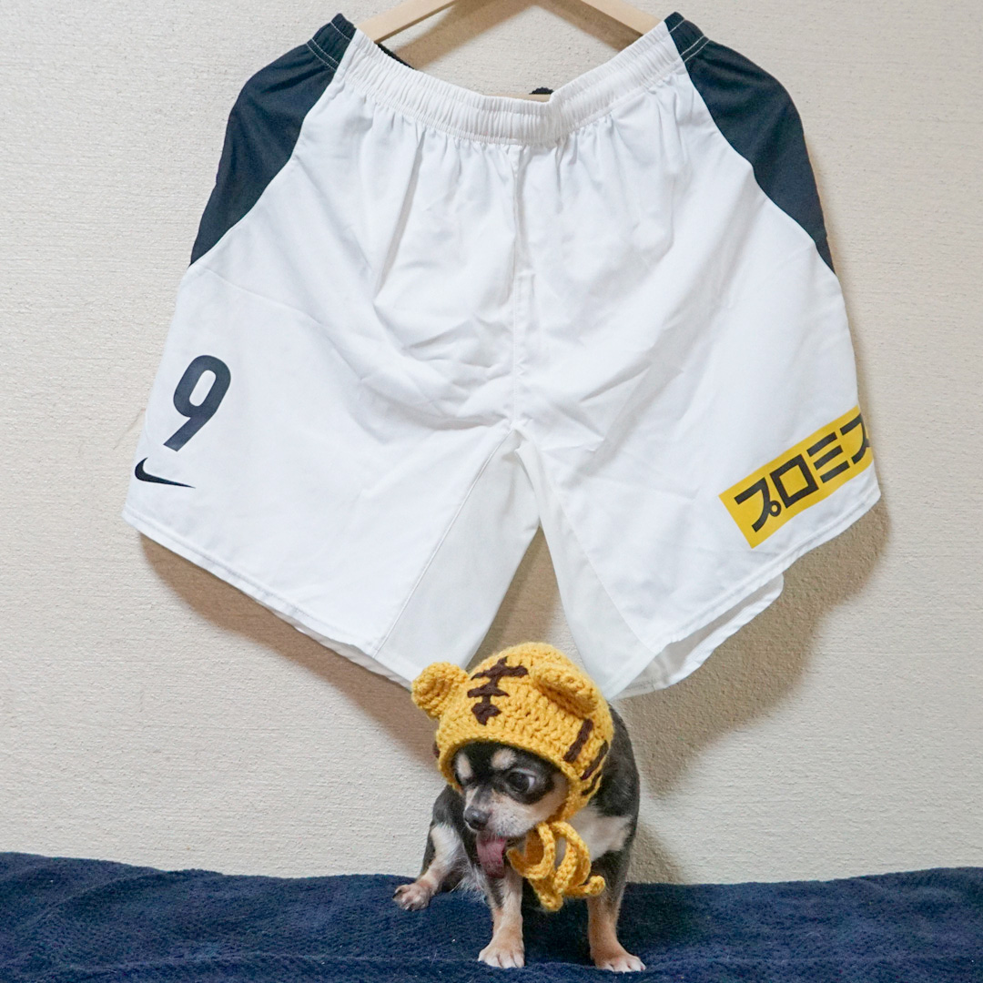 アレックス・ミネイロ