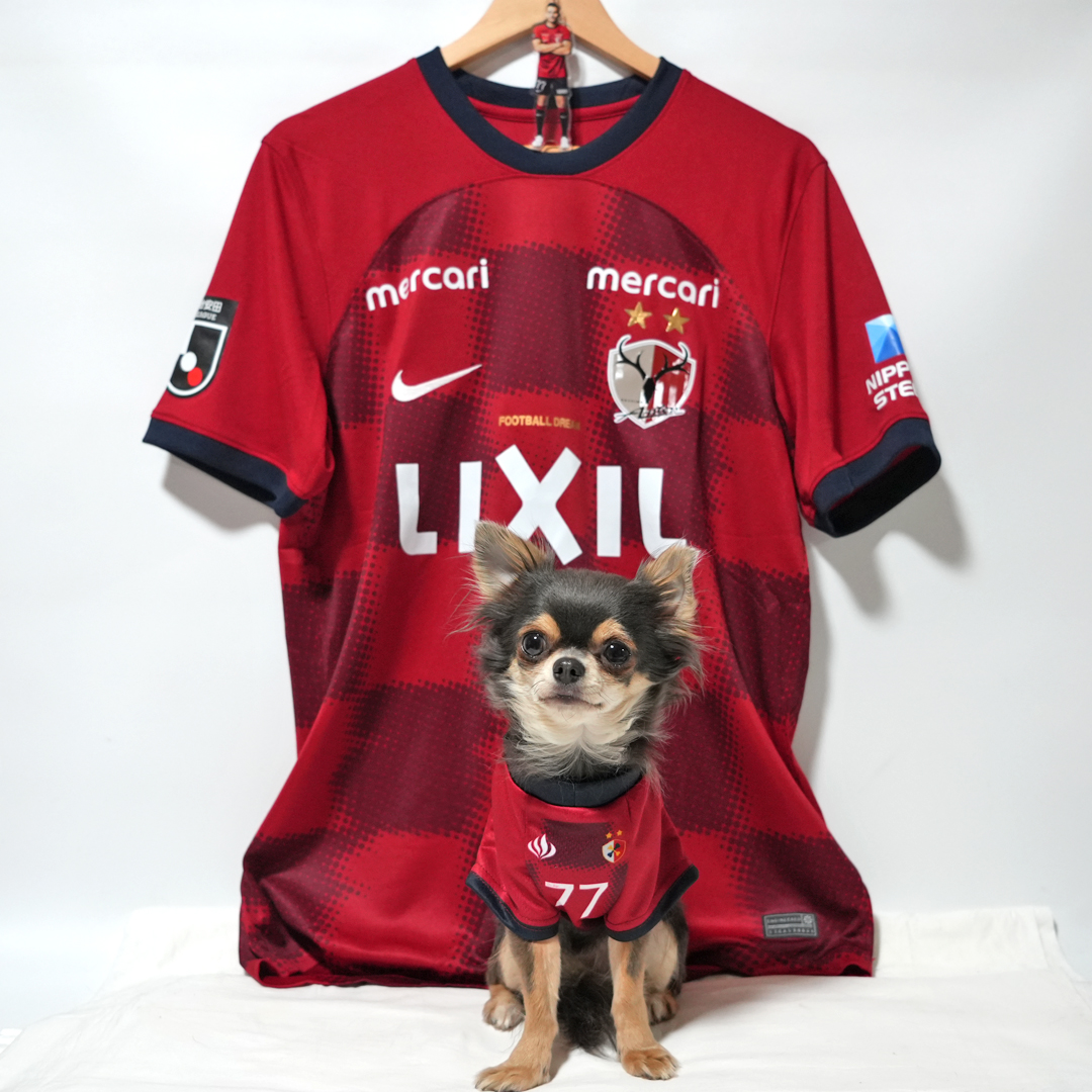 ギリェルメ・パレジ