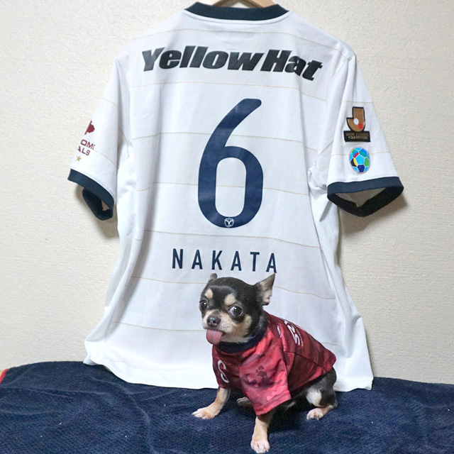 中田浩二