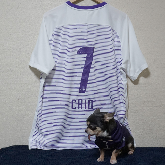 カイオ