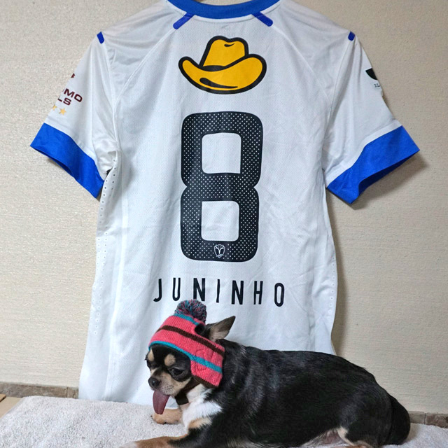 ジュニーニョ