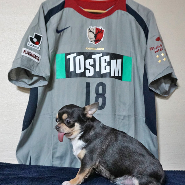 ファビオ・サントス / マルキーニョス