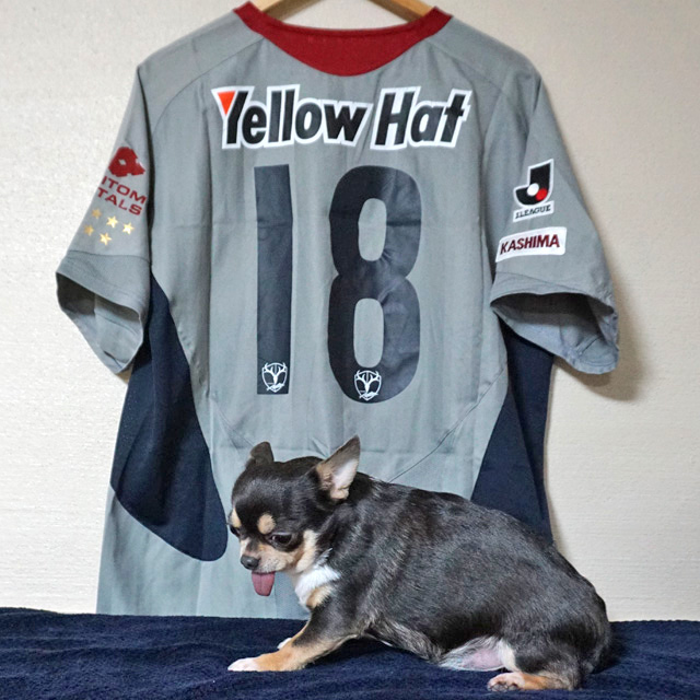 ファビオ・サントス / マルキーニョス