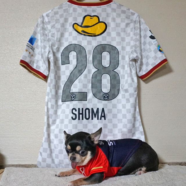 土居聖真