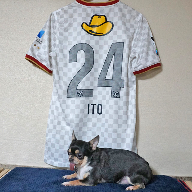 伊東幸敏
