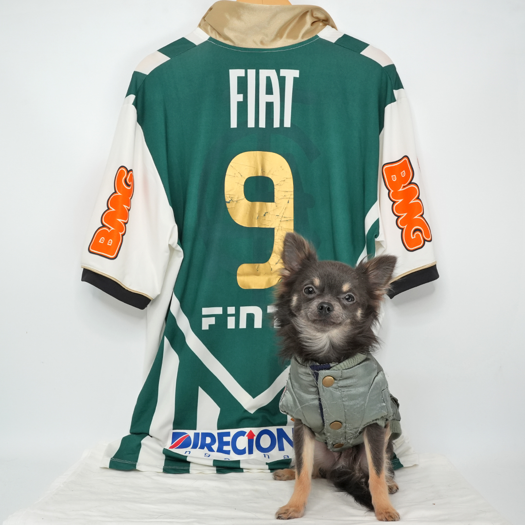 ファビオ・ジュニオール